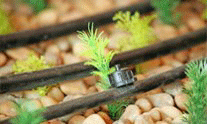 Drip Irrigation System